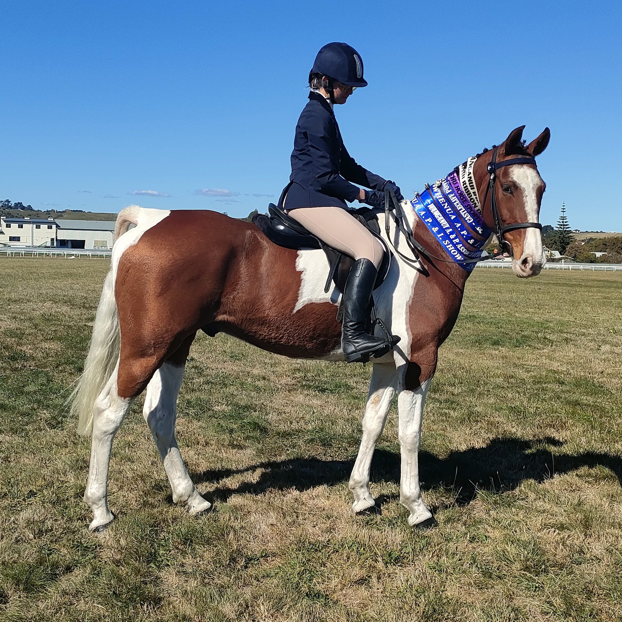 Bushy-Park-Riding-School-Pony-Riding-Lesson (1)