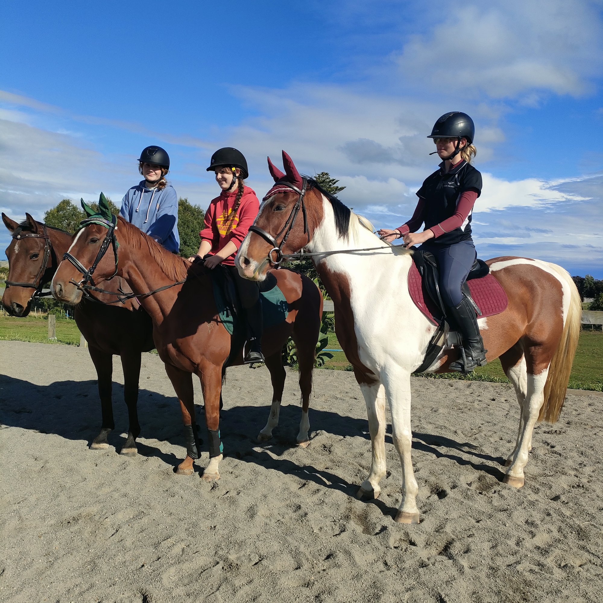 Bushy-park-riding-school-riding-lessons-kaiiwi (1)