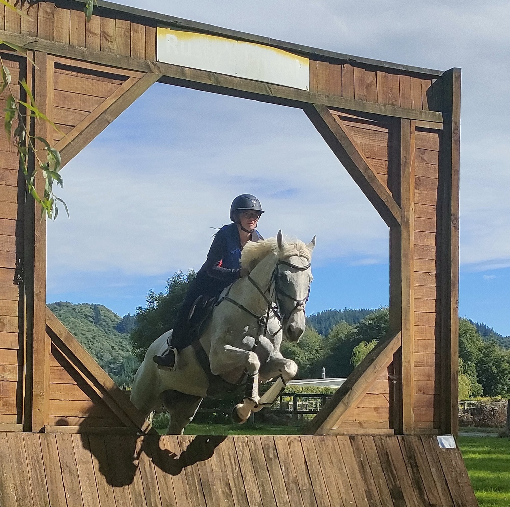 bushy-park-riding-school-ella-pony-schooling