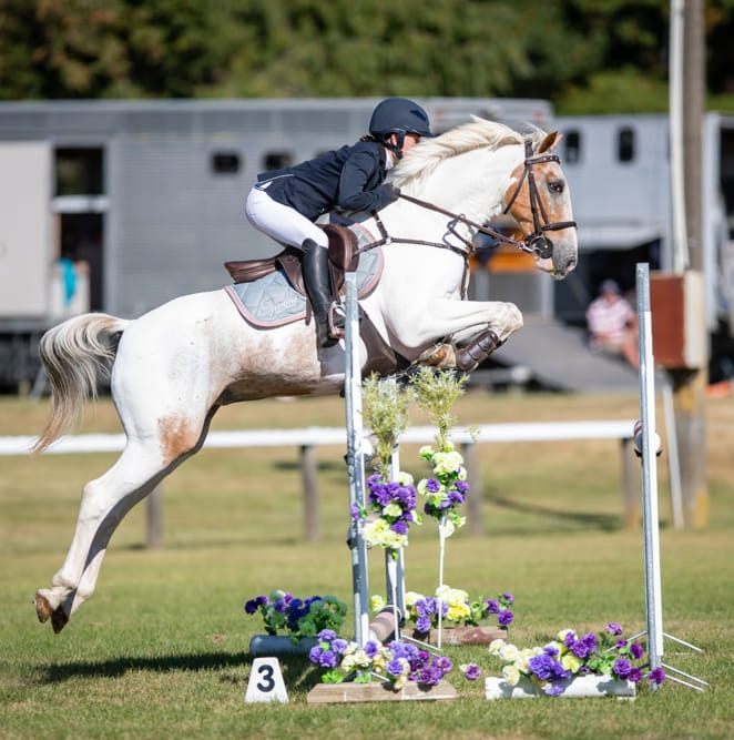 Bushy Park Riding School | Home