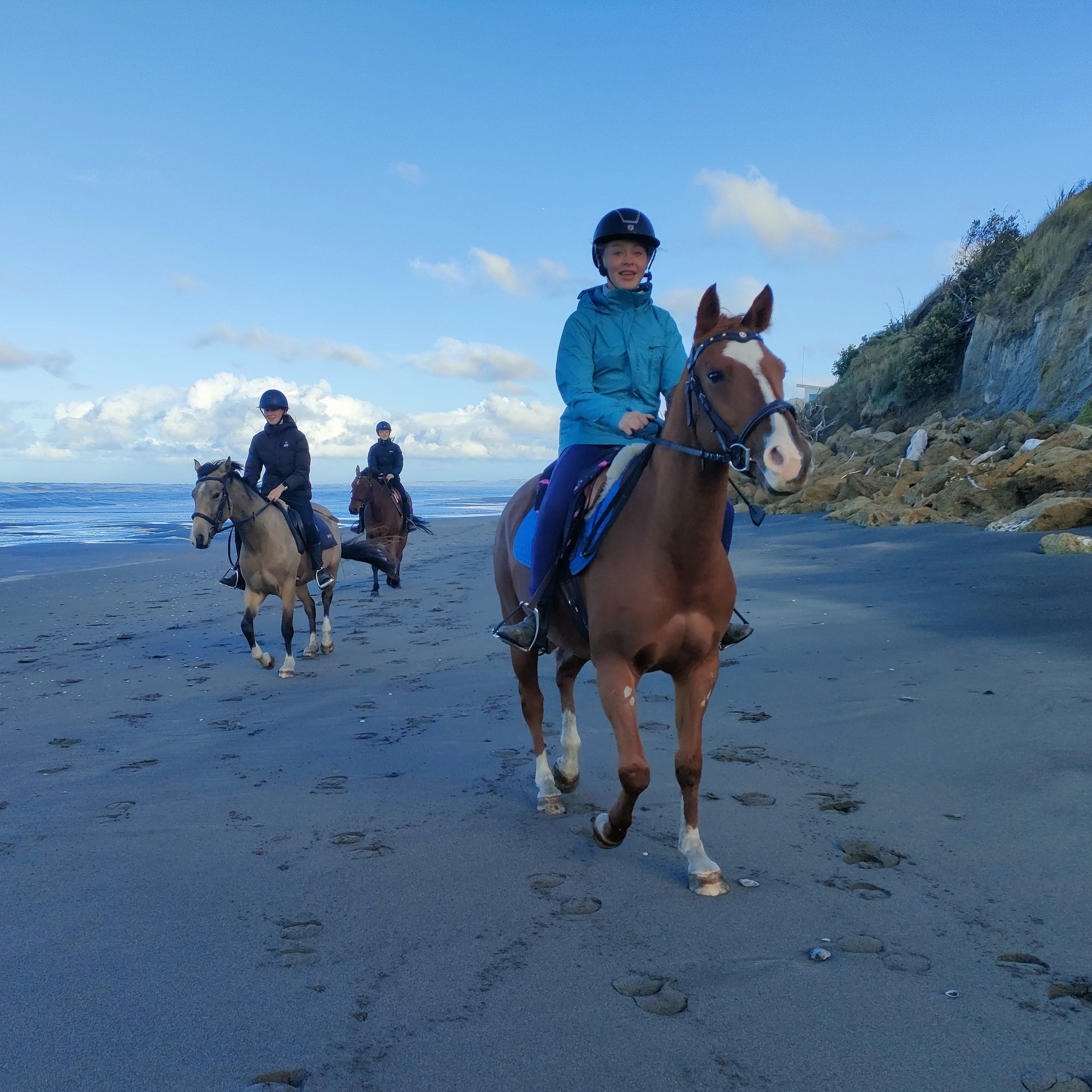 bushy-park-riding-school-kaiiwi-learn-to-ride-Pony-Camp
