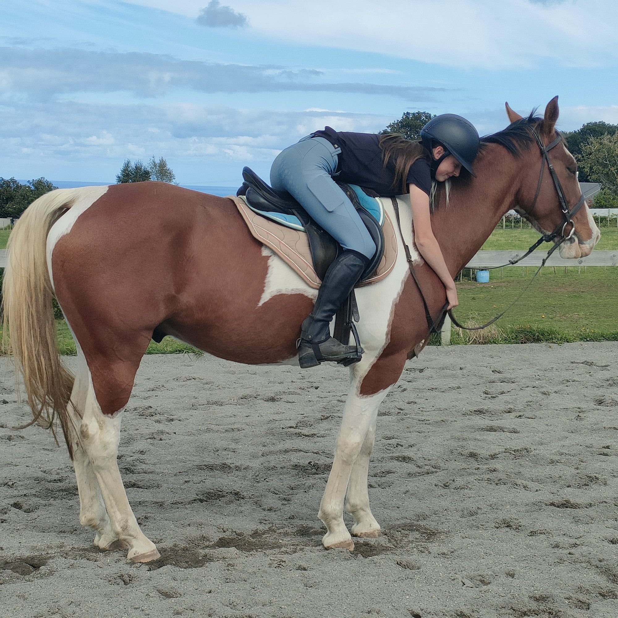bushy-park-riding-school-kaiiwi-learn-to-ride-school-holidays